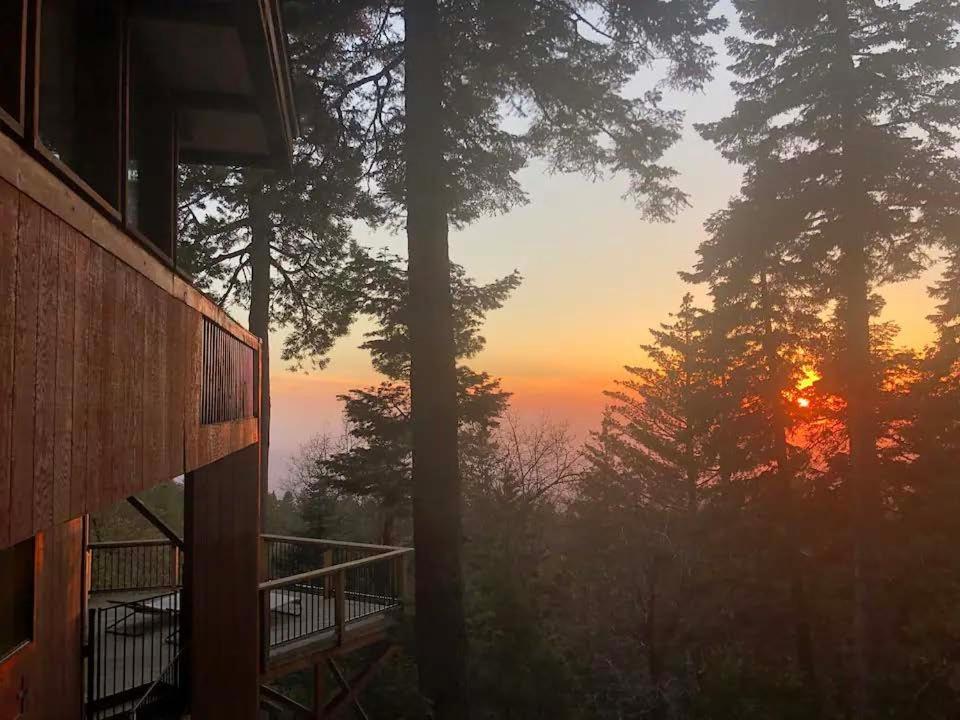 The Fireside Inn آيديلوايل المظهر الخارجي الصورة